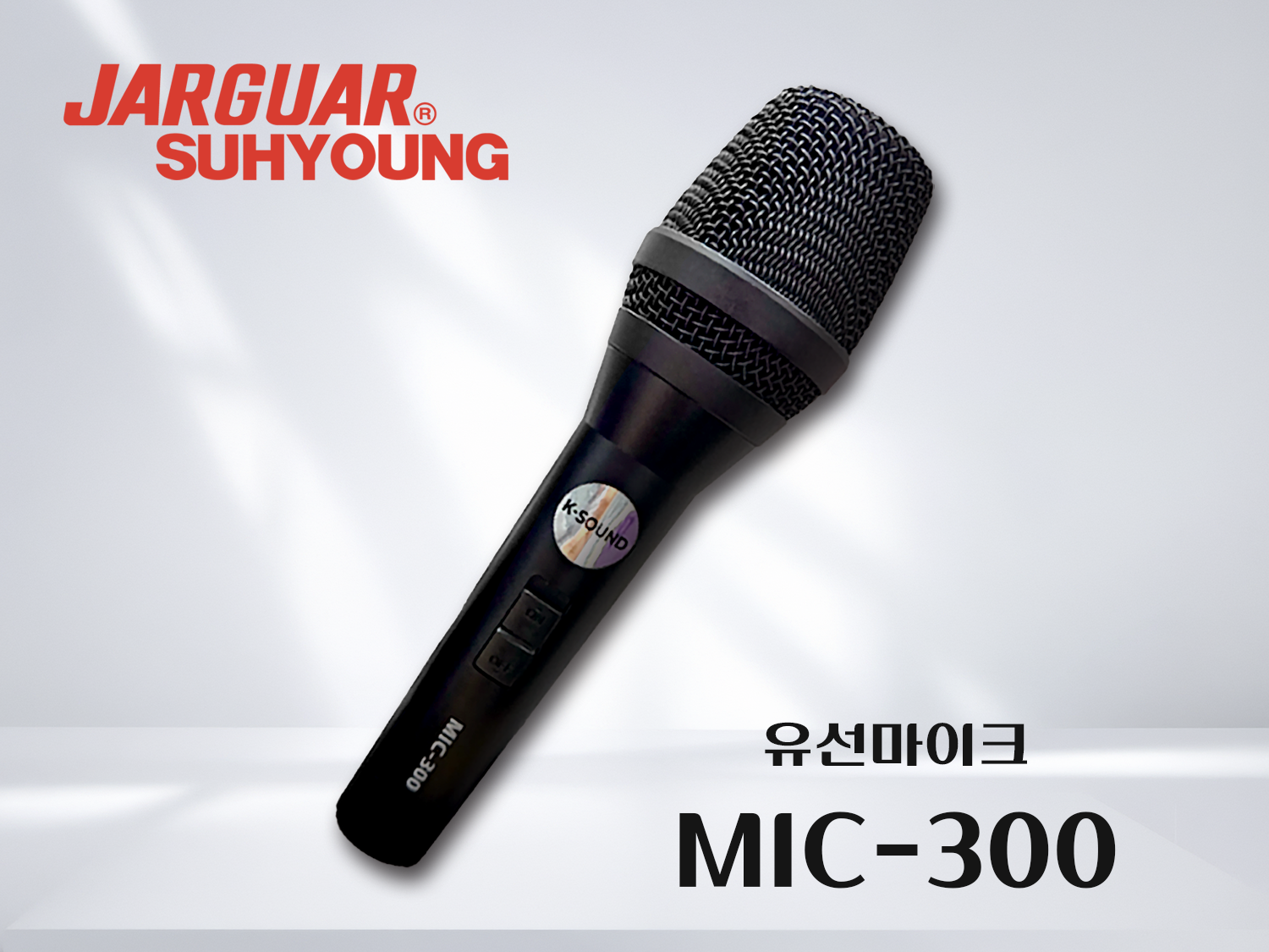 MIC-300